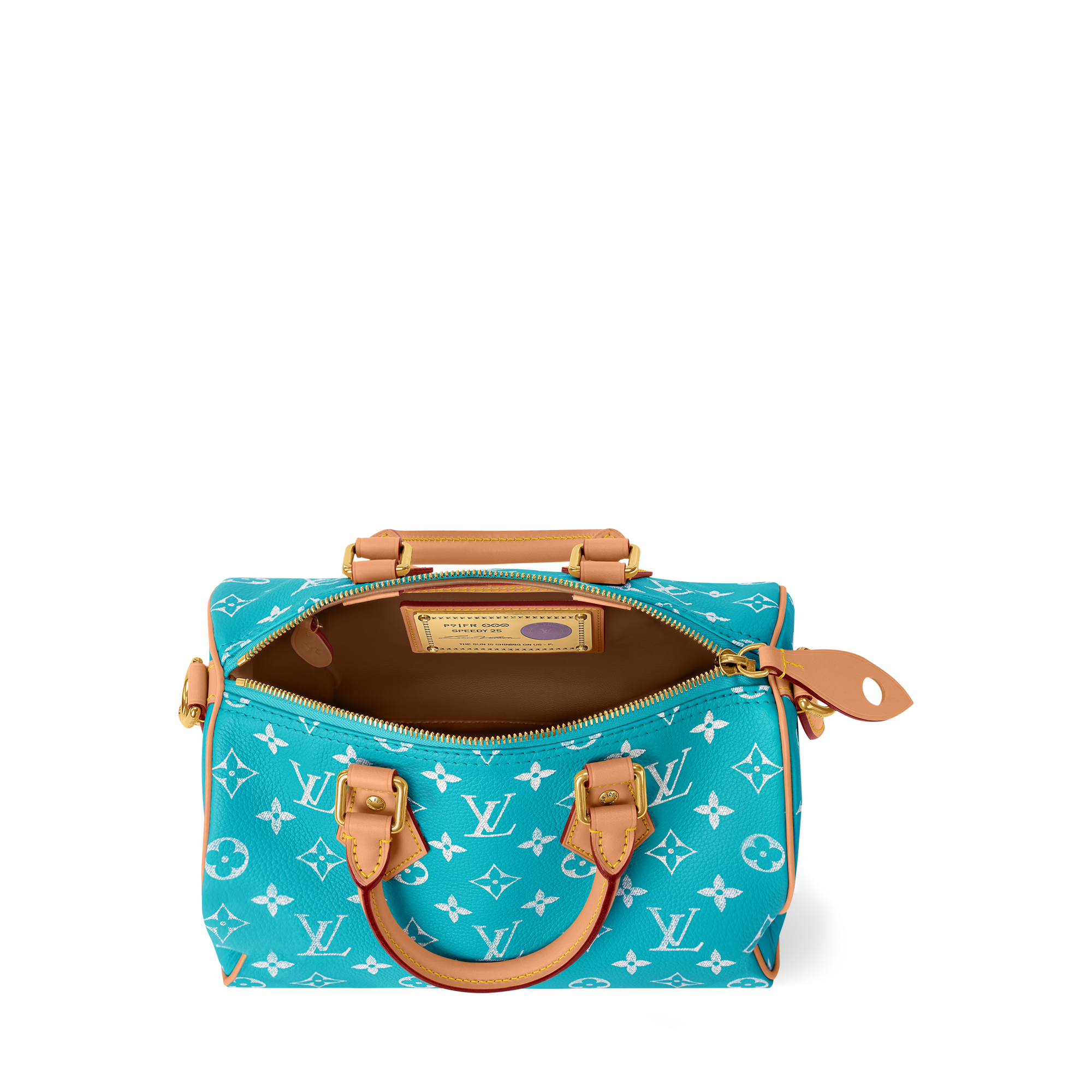 Speedy P9 Bandoulière 25 H40 - Leather Goods and Travel | LOUIS